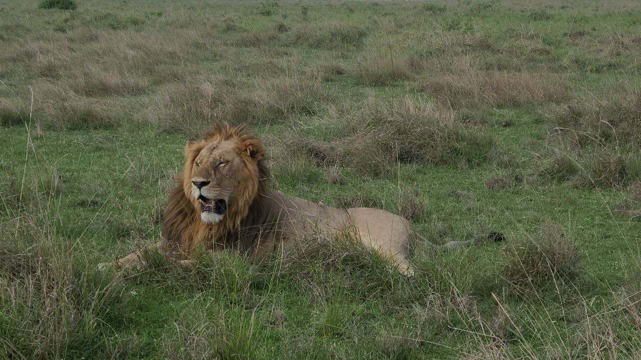 Masai Mara & Samburu